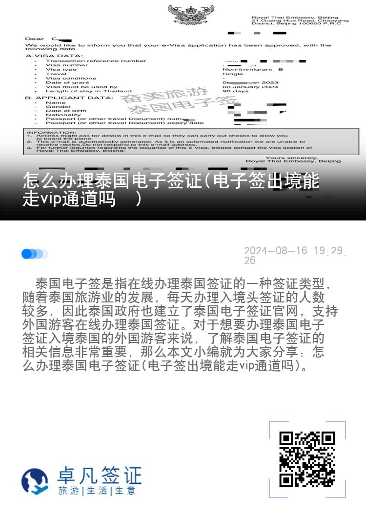 怎么辦理泰國電子簽證(電子簽出境能走vip通道嗎?)
